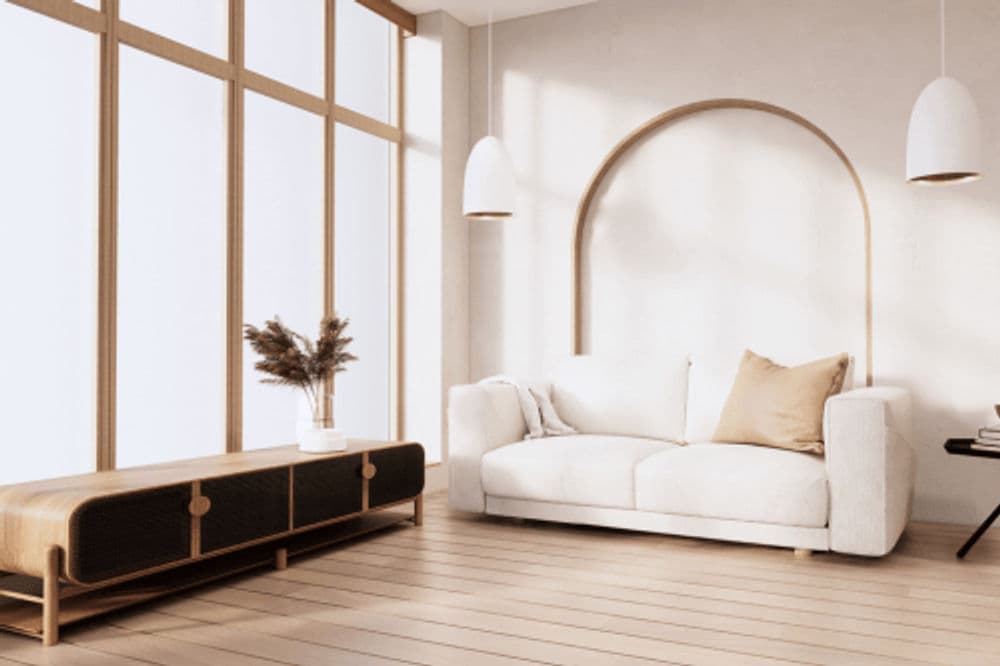 Living Room Cleaning